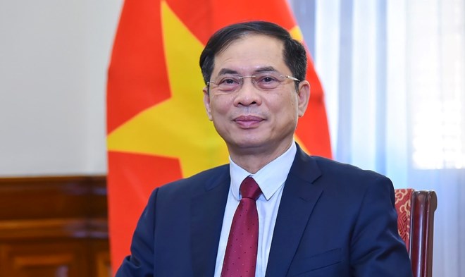 Deputy Prime Minister, Minister of Foreign Affairs Bui Thanh Son Deputy Prime Minister, Minister of Foreign Affairs Bui Thanh Son